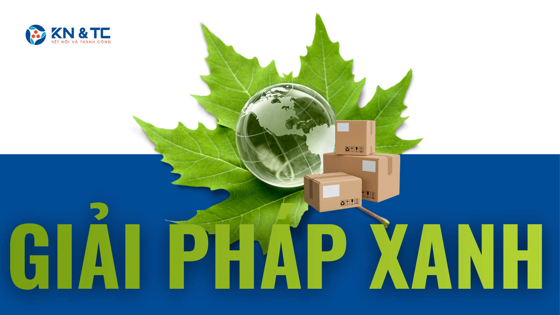 THÁCH THỨC TỪ GIÁ HẠT NHỰA TĂNG CAO: CƠ HỘI CHUYỂN ĐỔI SANG VẬT LIỆU ĐÓNG GÓI XANH CHO DOANH NGHIỆP